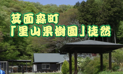里山果樹園