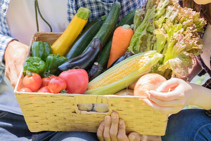 野菜が入ったカゴ